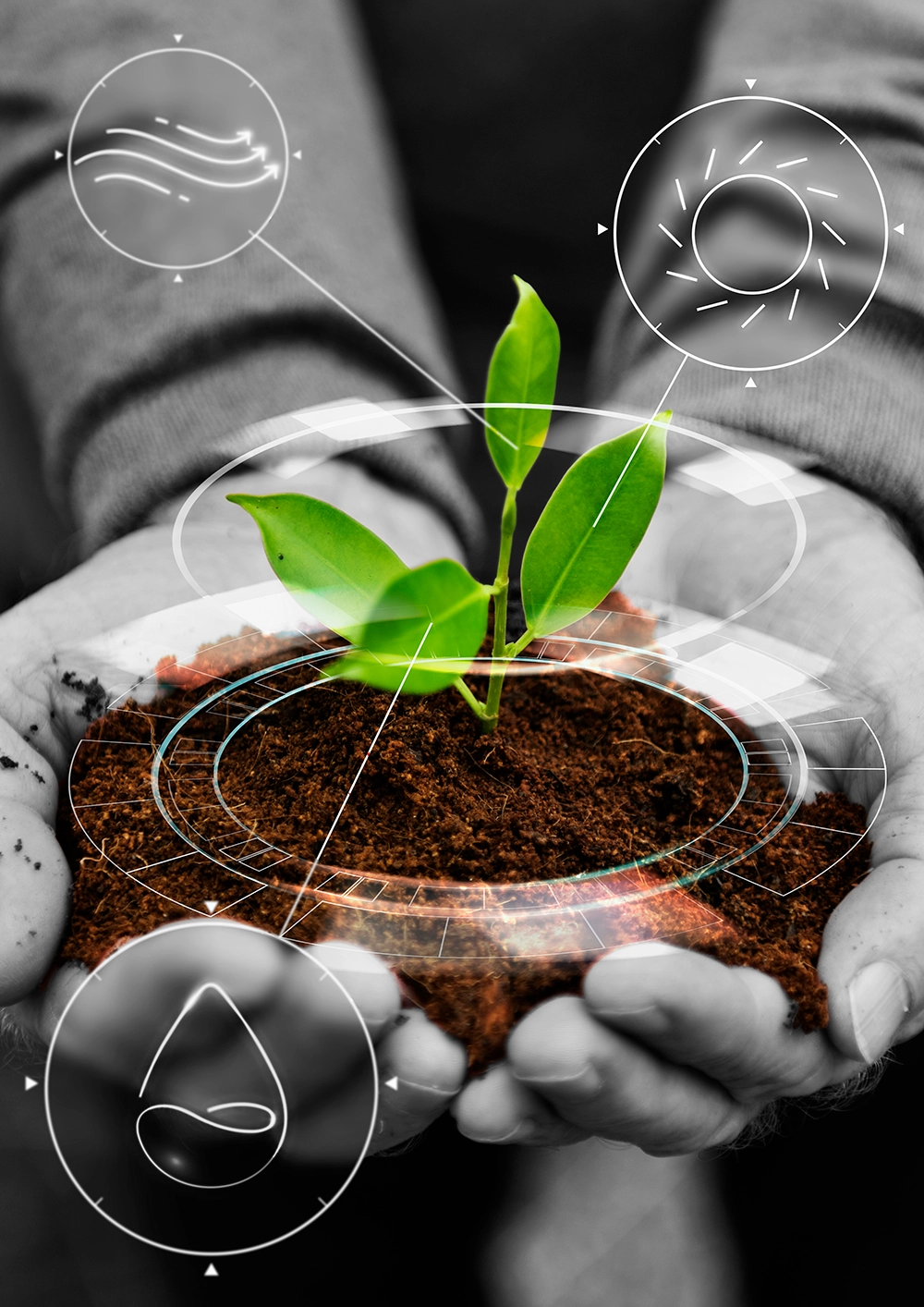 Agricultural Excellence - DPC Consulting